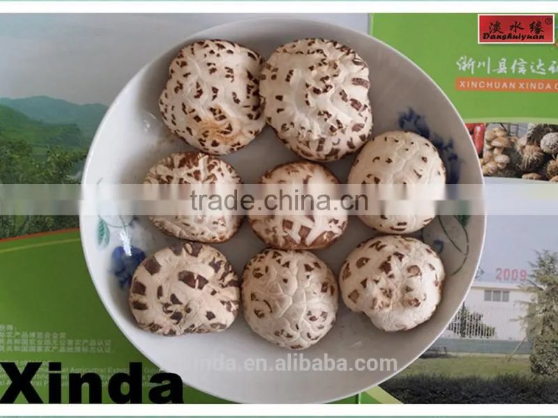The Best Dried Flower Mushroom