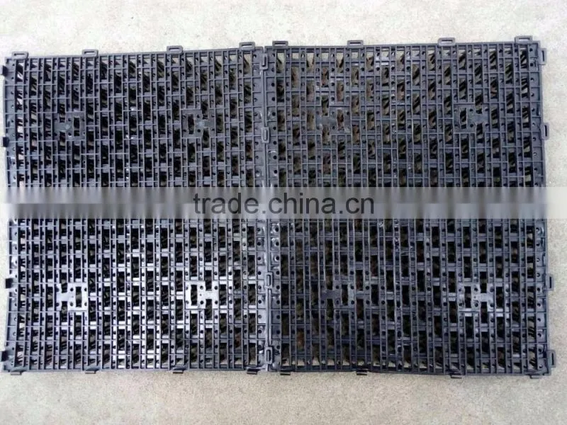 Automatic nest system/auto nest system/Poultry equipment/egg picking system/chicken nest/Manual egg collection box