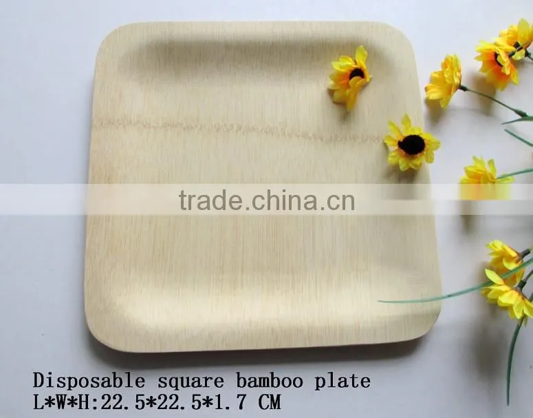 Disposable bamboo plate