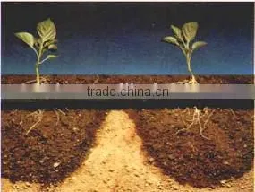 trickle irrigation lines