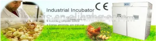 fast hatcher 48 egg incubator