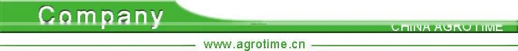 Multi-span Polycarbonate plastic sheet greenhouse for agriculture