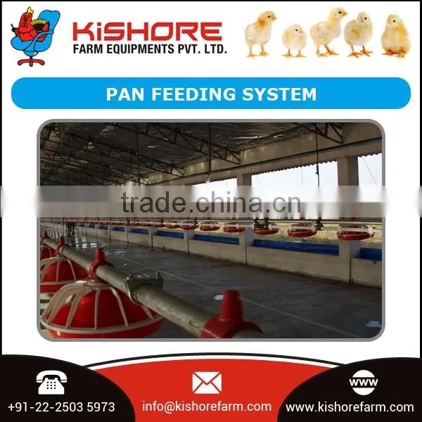 Automatic Pan Feeding System