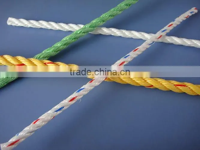 3-strand twist PP danline with competitive price