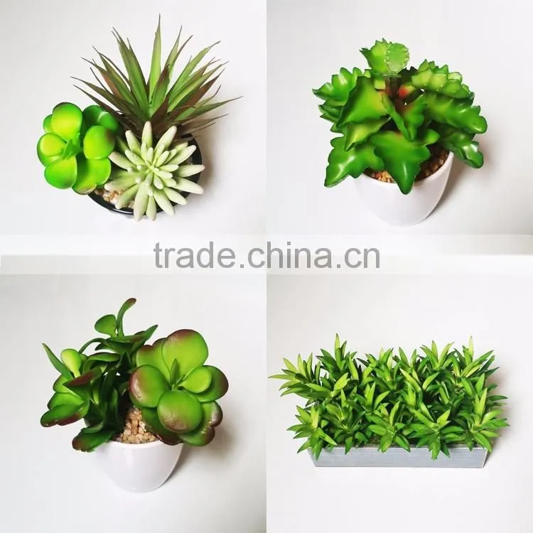 Real touch mini artificial succulent plant bonsai with pot for decor