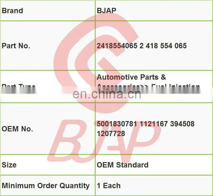 BJAP Injection pump delivery valve 2418554065 2 418 554 065 with oem no.5001830781 1121167 394508 1207728