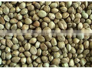 organic hemp seeds for bird feed