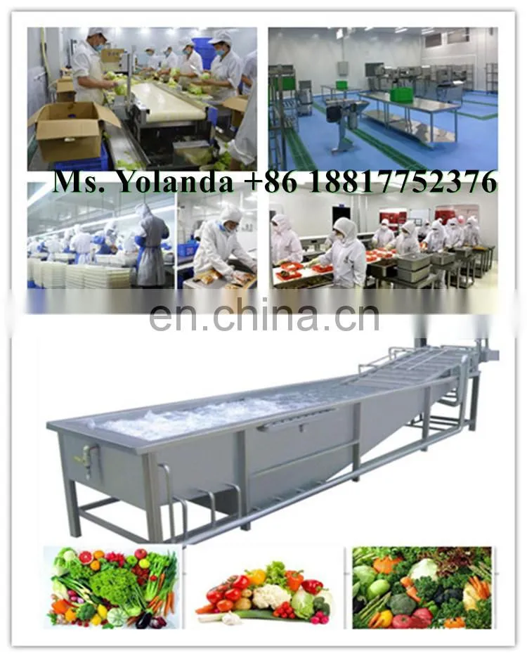 factory price korean kimchi production line