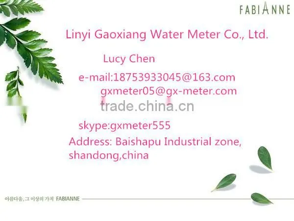 Basic Water Meter