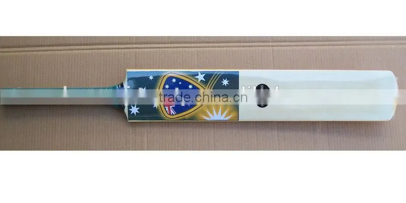 Best Cricket Bat Colourful Design