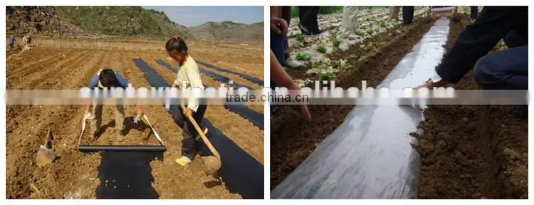 Suntex customized size and color blow molding mulch film/strawberry mulch film