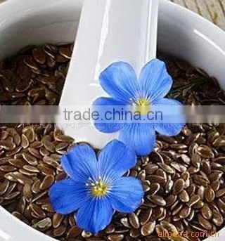 linseed oil, nutritious oil
