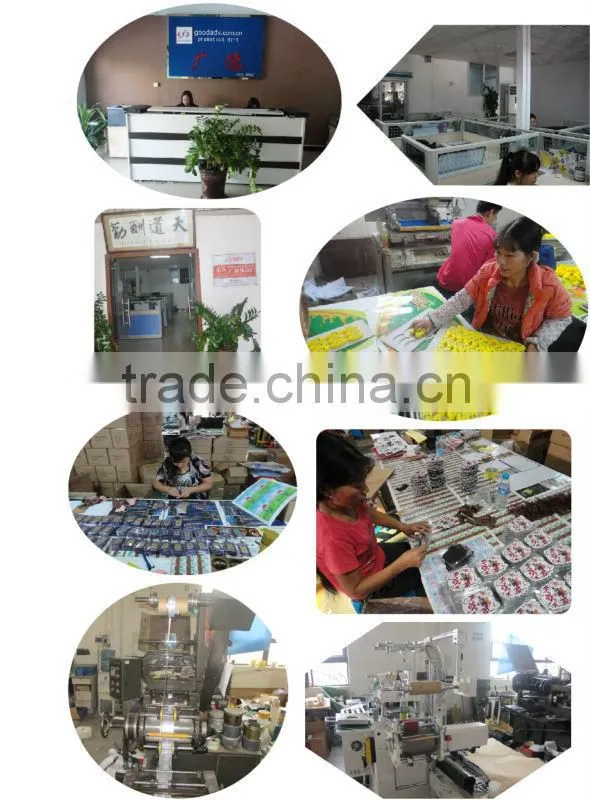 2015 Factory custom cute fashion design hanging file folders