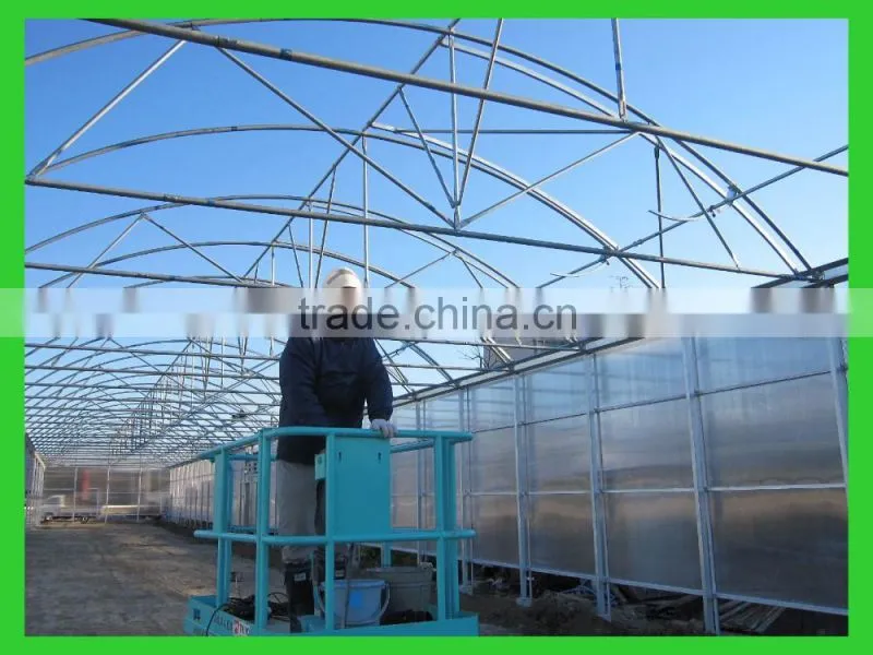 Export to Japan agriclutural Polycarbonate greenhouse
