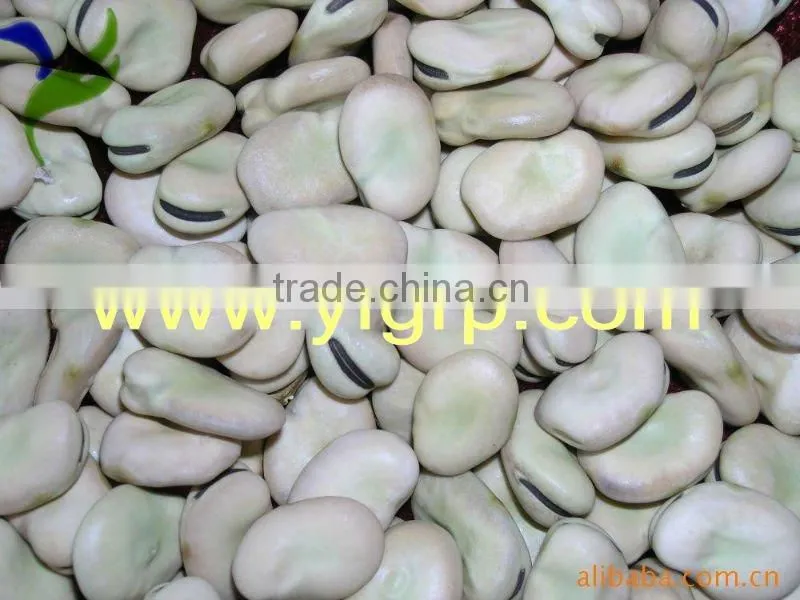 Dried Broad Beans