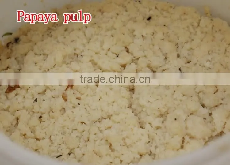 100% natural High quality factory supply papaya powder in Dried Fruit