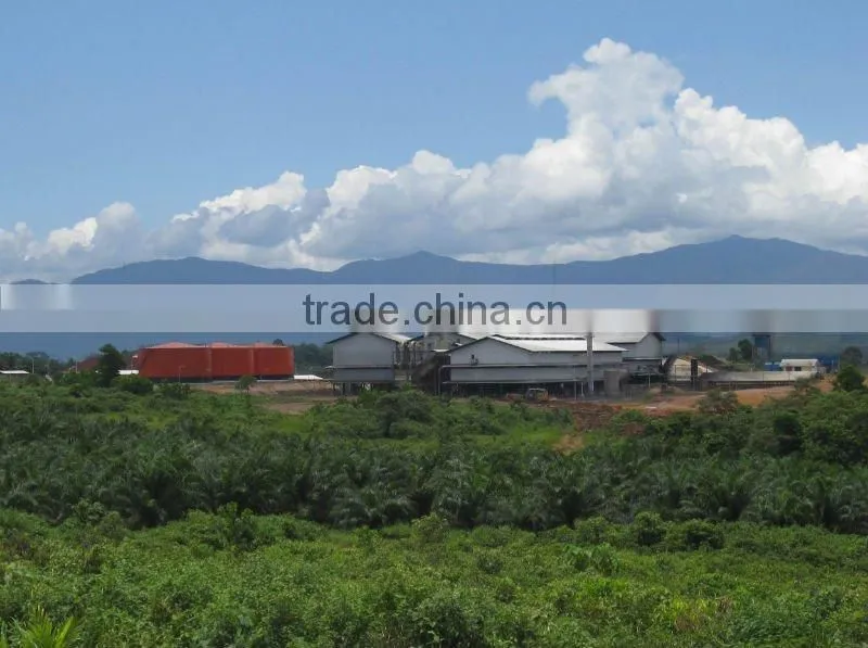 10-90 ton per hour palm oil plant