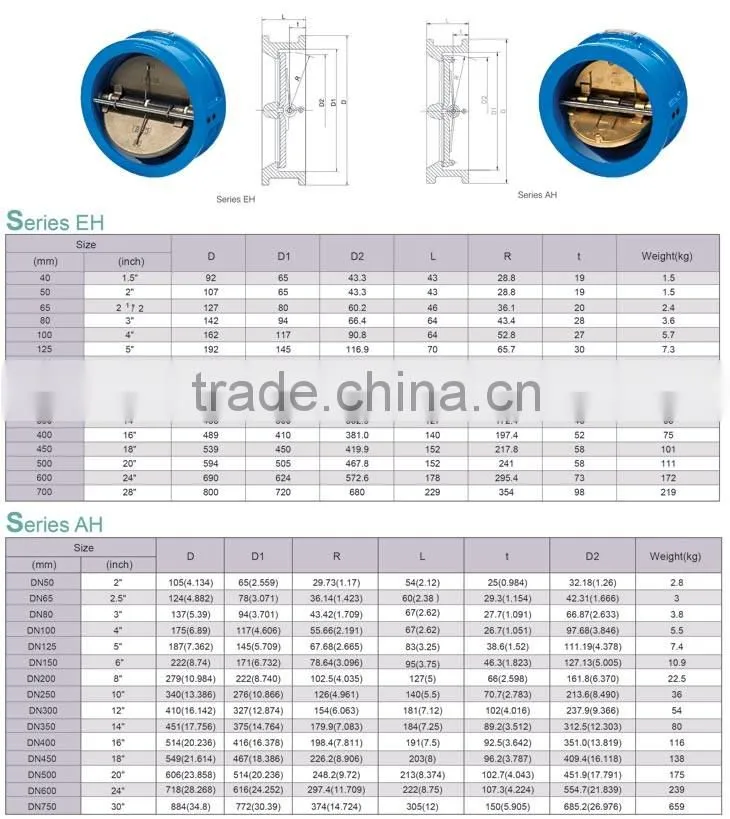 Dual Plate Disc Check Valve
