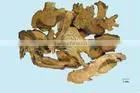 China Qingdao Supplies Best Quliaty And 100% natural giant knotweed extract powder