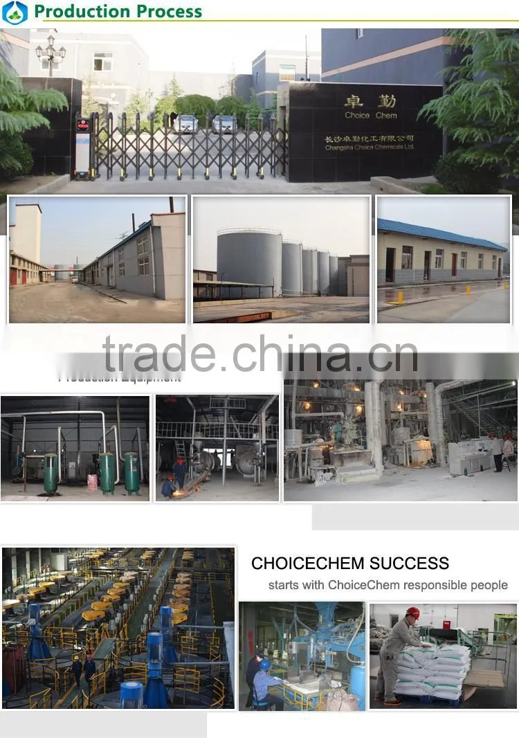Best price high grade food additive L Glutamic Acid manufacturer