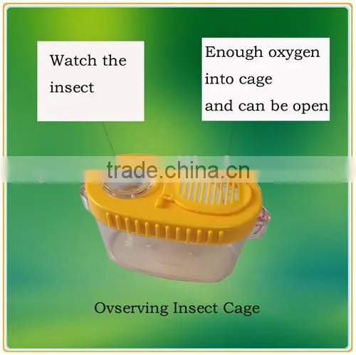 New acrylic insect cage pet plastic cage for small animals