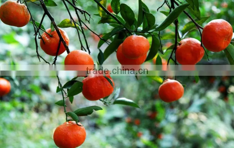 humic acid and fulvic acid liquid npk fertilizer,fulvic acid