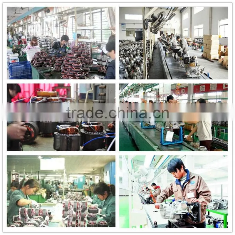Capacity for 16L agriculture garden wand sprayer
