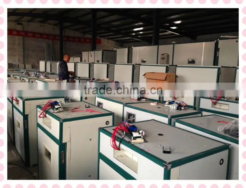 chicken eggs incubators and hatchers