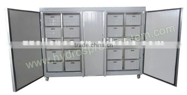 100kg/day automatic bean bud seeding machine