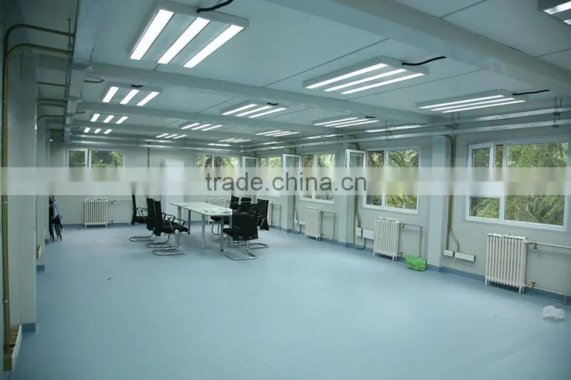 two storey Luxury container office building
