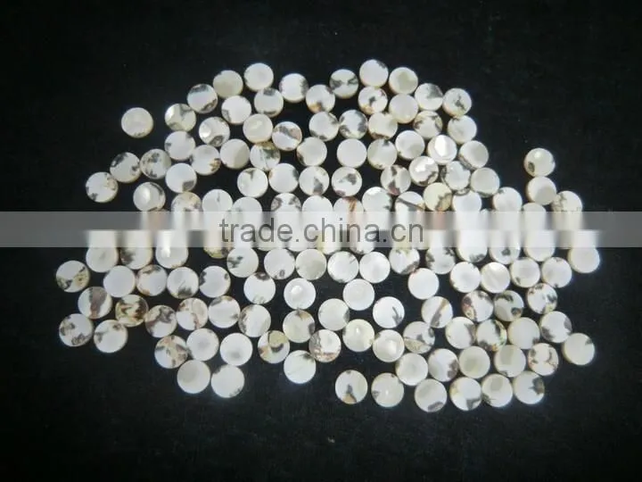 Trochus Niloticus trochus shell button for shirt
