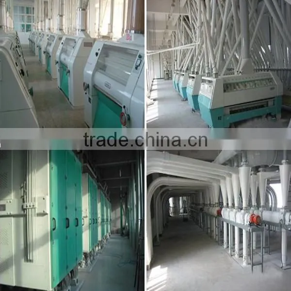small to large scale total solution for wheat flour wheat production line
