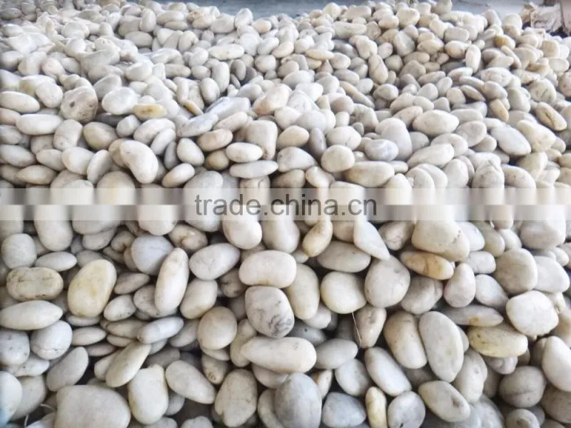 pebble stone;wholesale pebble;pebble wash flooring