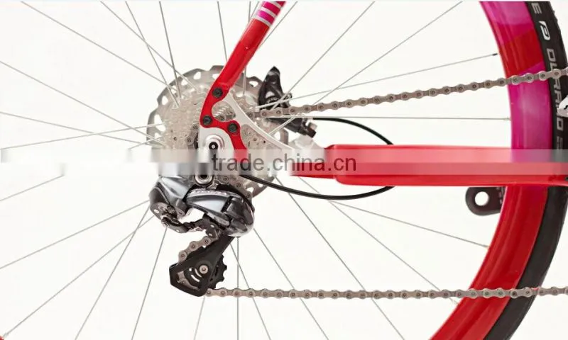 Belt drive bike B-2 Stealth and Strategic Bomber