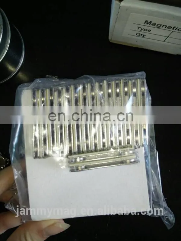 Plastic Name Badge/Tag with Pin Magnet