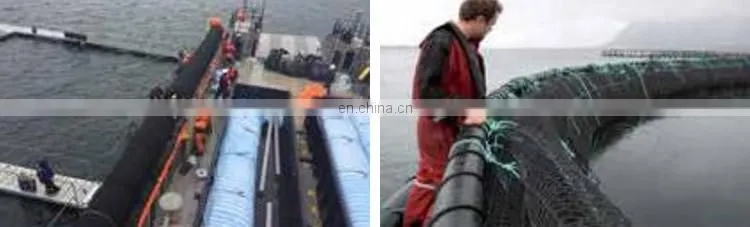 Factory Pet Fish Farming Cage Netting Agriculture Fish Farm Nets Hexagonal Wire Mesh