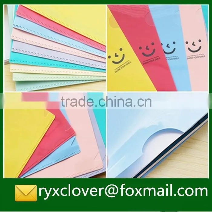 Factory price a4 size clear eco-friendly plastic file with card holder