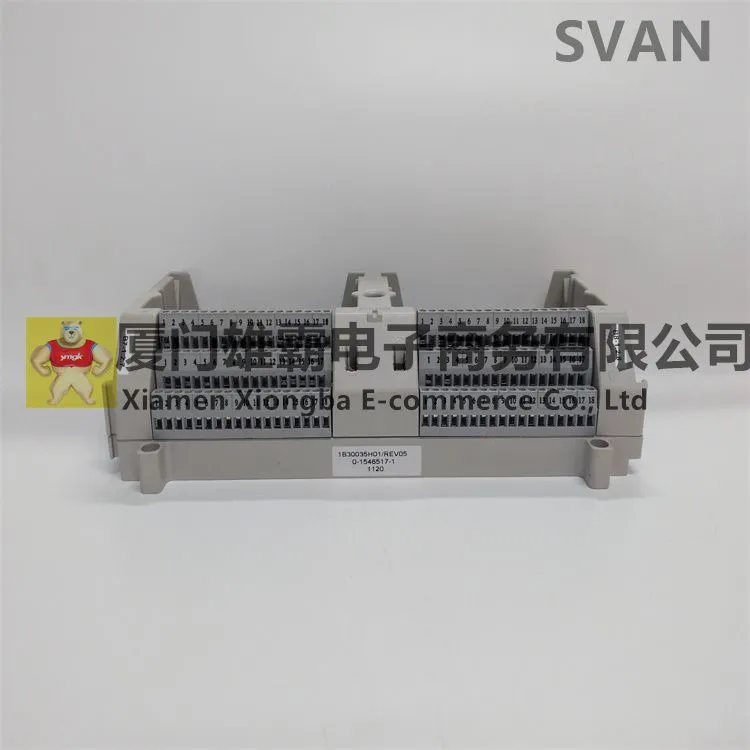 1B30035H01 (2).jpg