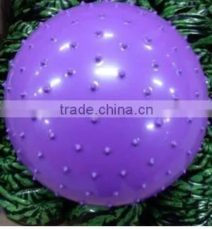 pvc toy ball/massage ball/plastic gym ball