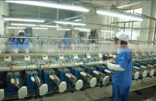 Zhejiang Flying String Co., Ltd. company overview - view 3