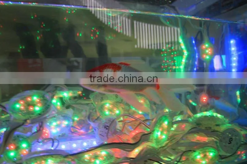 Led under water light IP68 China manufacturer