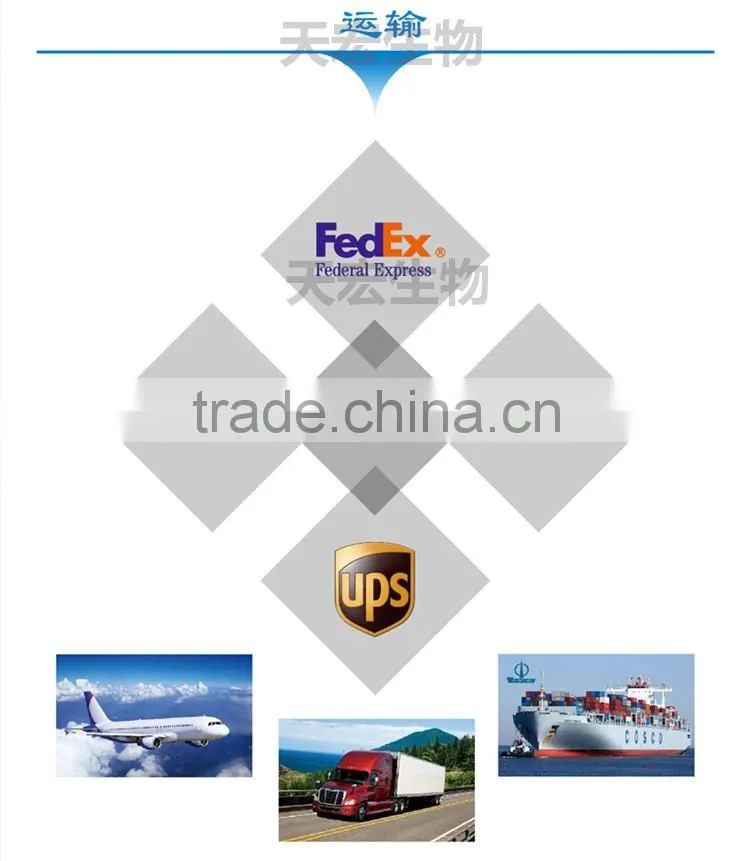 our factory supply best price black bean powder high quality