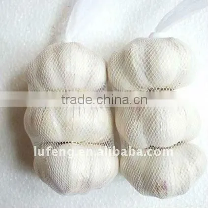 chinese snow white garlic