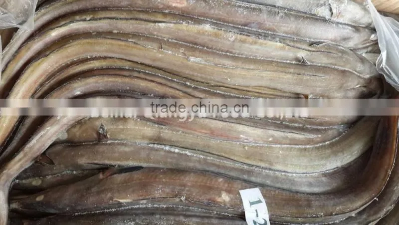fresh frozen fish frozen eel fish