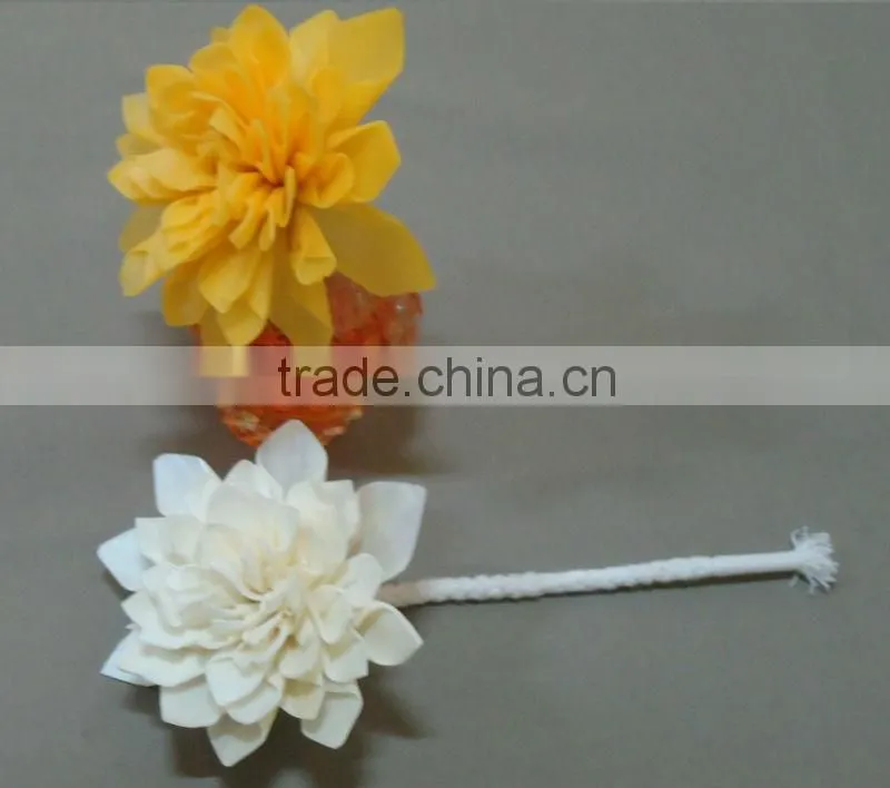 Sola wood flower