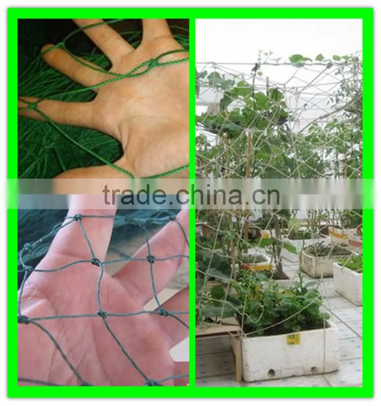 wholesale extruded plastic cucumber climbing net made in China