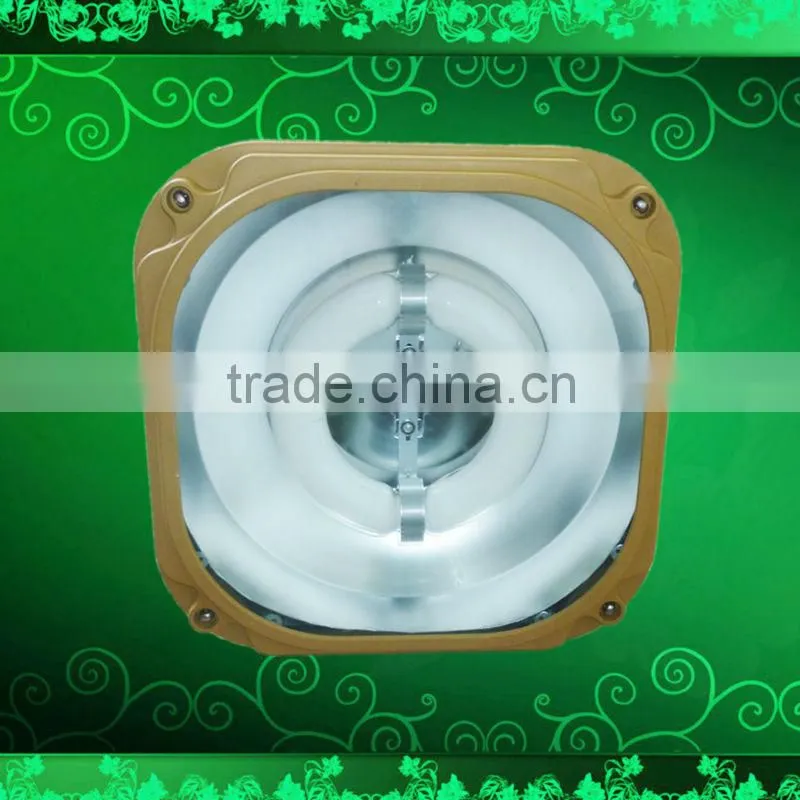 IP65 induction explosion proof flood light