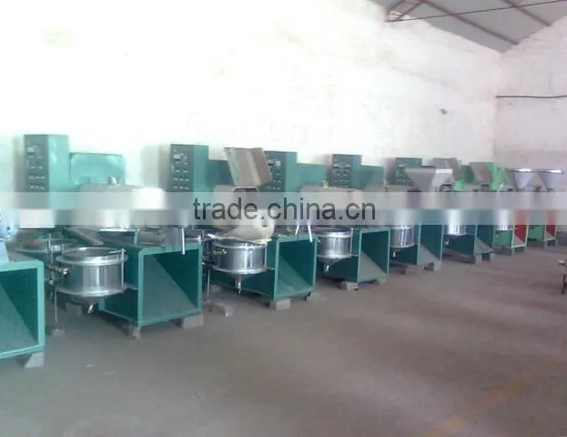 Hot sale in Africa baobab seeds oil press machine from Dingsheng