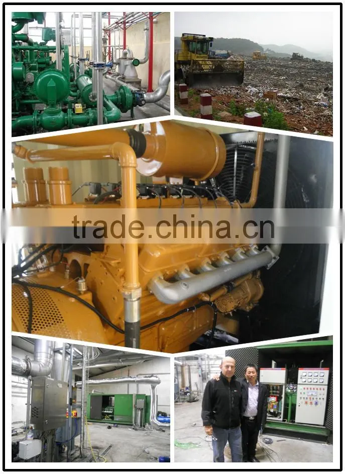 globle widly used 50kw mini LNG/CNG/LPG/Natural Gas Silent Generator famous engine