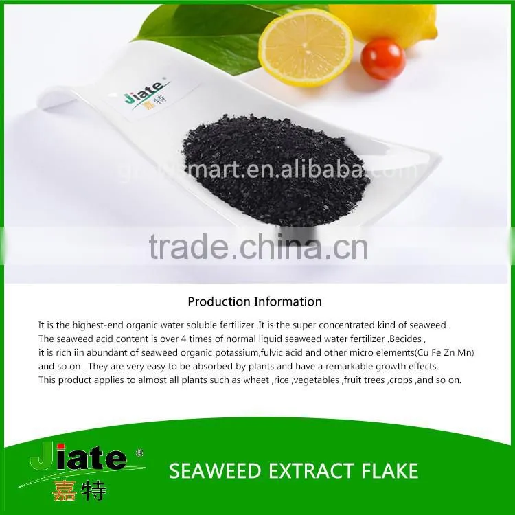 seaweed extract organic powder /flake fertilizer